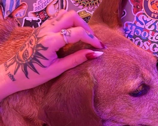 Mano tatuada acariciando a Wilson